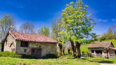 La Bauga 'daki tipik kulübeler, Sobrescobio belediyesi, Redes Doğal Parkı, Asturias, İspanya