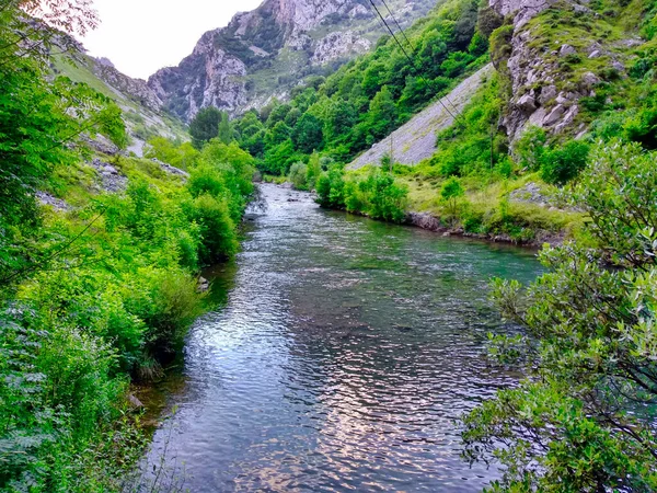 Cares Canyon yolu, Picos de Europa Ulusal Parkı, İspanya 'nın Asturias ve Leon eyaletleri arasında.