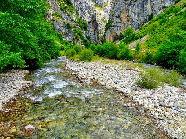 Vårdar Floden Nära Byn Cain Rutten Till Cares Canyon Picos — Stockfoto