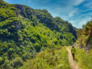 Pendon Gorges Yolu, Nava belediyesi, Asturias, İspanya