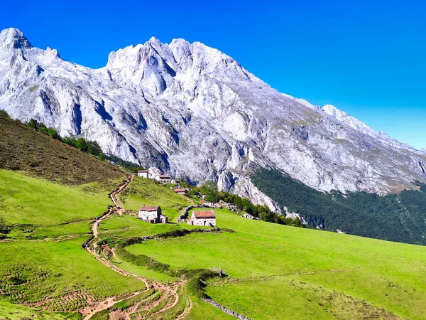 Ovelhas Terenosa Caminho Pico Naranjo Bulnes Parque Nacional Picos Europa — Fotografia de Stock