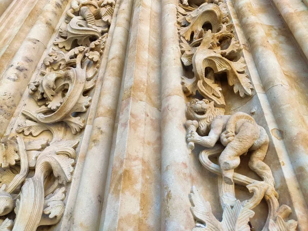 スペイン サラマンカ大聖堂のファサードの詳細 — ストック写真