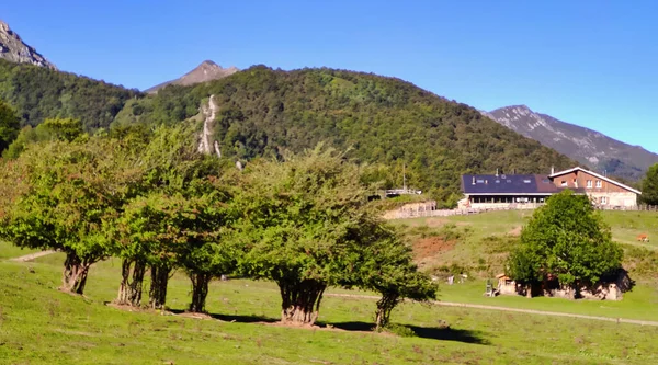 Branagallones Parco Naturale Redes Riserva Della Biosfera Asturie Spagna — Foto Stock
