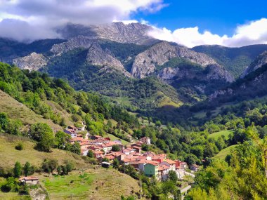 Redes Doğal Parkı 'ndaki kayın ormanları Branagallone, Redes Doğal Parkı ve Biyosfer rezervi, Asturias, İspanya