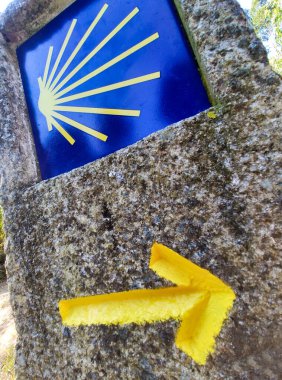 Redes Doğal Parkı 'ndaki kayın ormanları Branagallone, Redes Doğal Parkı ve Biyosfer rezervi, Asturias, İspanya