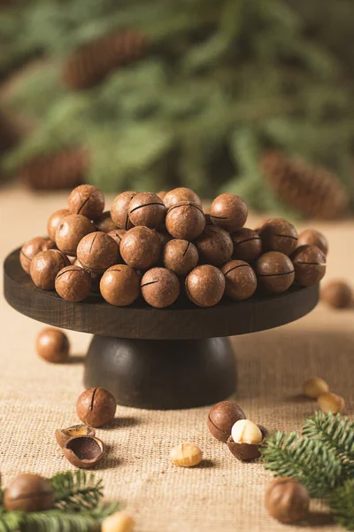 Winter food background with macadamia nuts — Stock Photo, Image