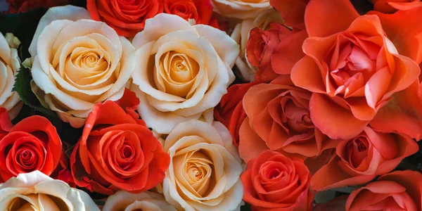 Fondo floral de rosas crema y escarlata vista superior — Foto de Stock