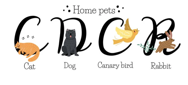 Kedi, köpek, kanarya kuşu ve tavşan gibi ev hayvanlarının olduğu dört büyük harf seti, hayvan isimlerinin yazılı olduğu eğitim kartları, el çizimi vektör çizimleri