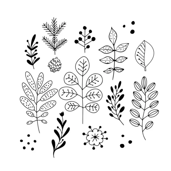 Plantas Desenhadas Mão Flores Ramos Folhas Estilo Arte Linha Ilustração —  Vetores de Stock