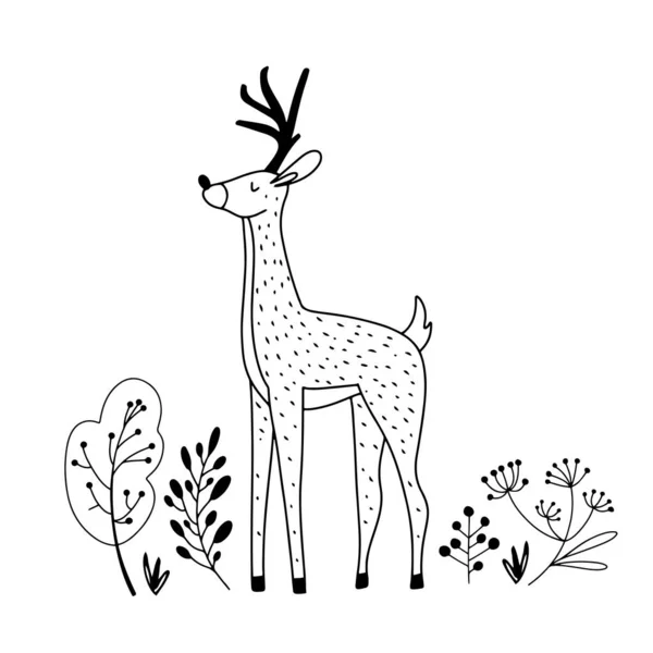 Cerf Noble Dessiné Main Dans Forêt Dans Style Contour Art — Image vectorielle