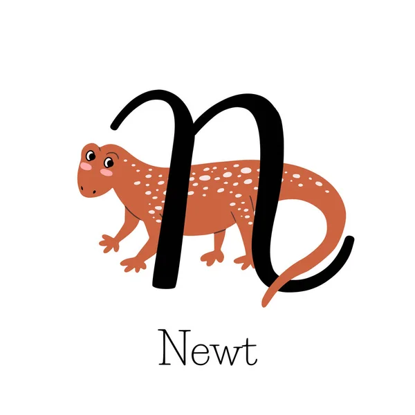 Letra Mayúscula Para Newt Con Lindo Animal Tímido Alfabeto Infantil — Vector de stock