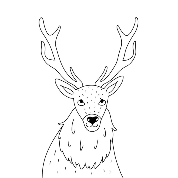 Hand Drawn Linear Deer Drawn Outlined Doodle Style Isolated White — Stock Vector