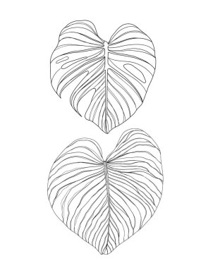 Palmiye bitkisi yapraklarının el çizimi çizimi sanat tarzı çizim çizimi