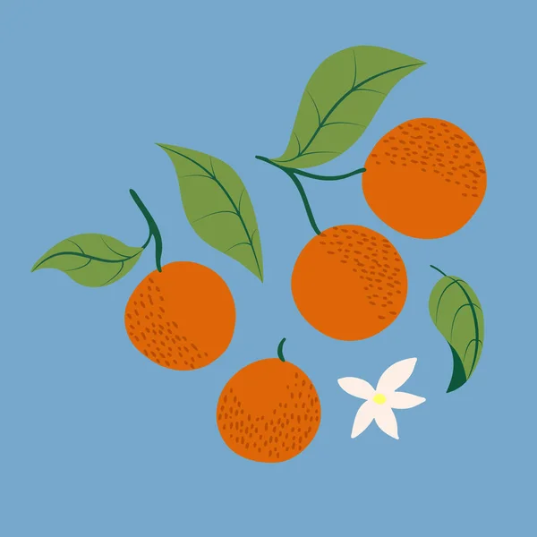 Aranyos Narancs Polka Pont Levelek Virágok Vektor Készlet Clip Art — Stock Vector