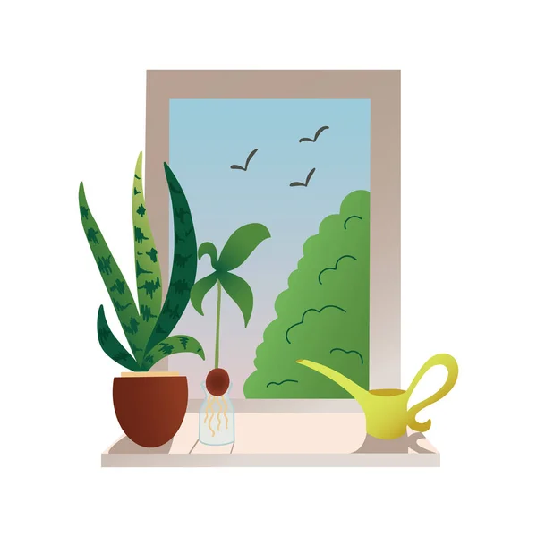 场景与窗台与桑兰花蛇植物在锅 鳄梨发芽种子和水可以 夏天的早晨从窗户眺望 在白色背景上孤立的向量图 — 图库矢量图片