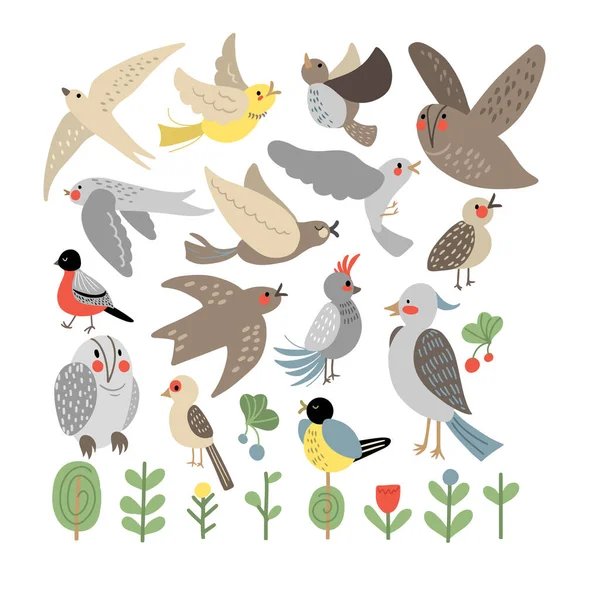 かわいい鳥の種 庭と森のベクトルセット — ストックベクタ