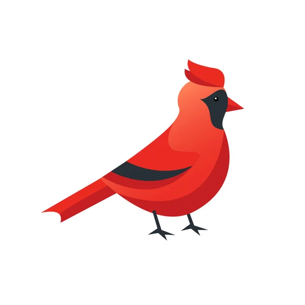Red Cute Cardinal Bird Hand Drawn Vector Illustration Flat Style — ストックベクタ