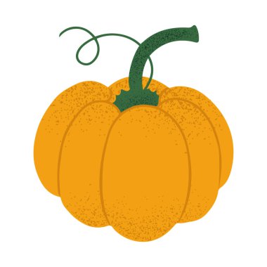 Hand drawn whole autumn pumpkin. Isolated on white vector illustration in flat style