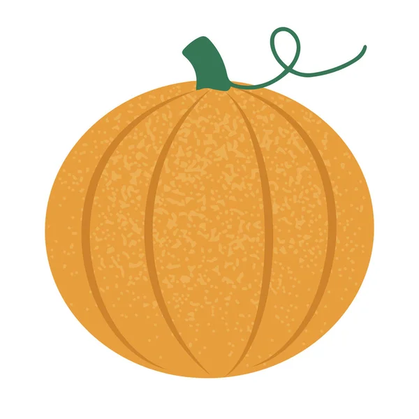 Hand Drawn Autumn Pumpkin Isolated White Vector Illustration Flat Style — Stockvektor