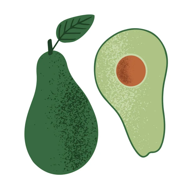 Hand Drawn Simple Whole Cut Piece Avocado Seed Leaf Isolated —  Vetores de Stock