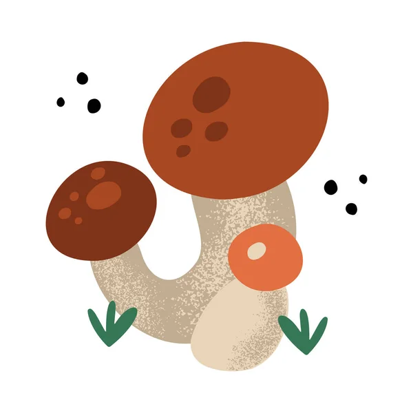 Hand Drawn Bunch Forest Mushrooms Isolated White Background Vector Illustration — Vetor de Stock