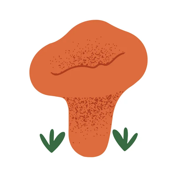 Cute Little Chanterelle Mushroom Hand Drawn Vector Illustration White Background — Vetor de Stock