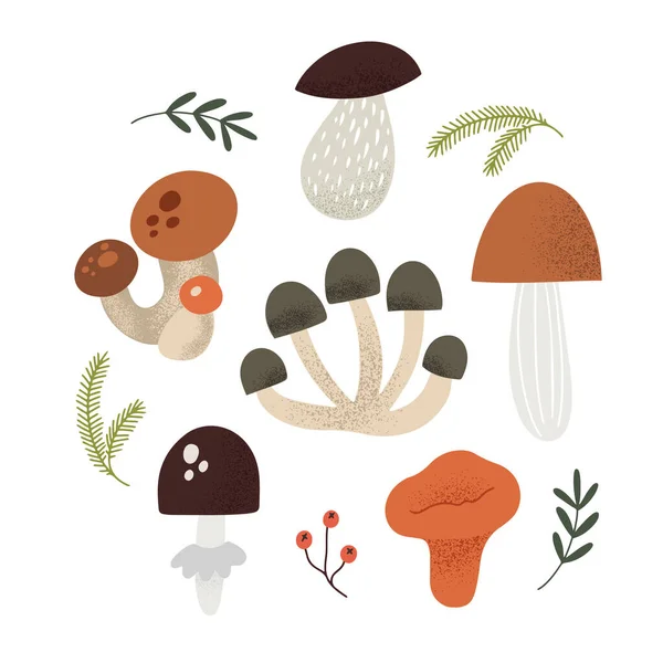 Set Different Cute Autumn Mushrooms Isolated White Vector Illustration — Vettoriale Stock
