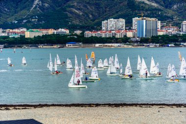 Gençlik yarışları körfezde. Küçük yatlardan oluşan sayısız beyaz yelkenli. Arka planda dağlar ve bir şehir var. Sonbahar, yeşil deniz ve çakıl taşı plajı. Gelendzhik tatil beldesi, Karadeniz.