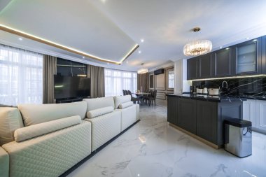 Oturma odası, minimalist tarzda siyah beyaz tonlarda bir stüdyo. Açık kanepe, karanlık mutfak.