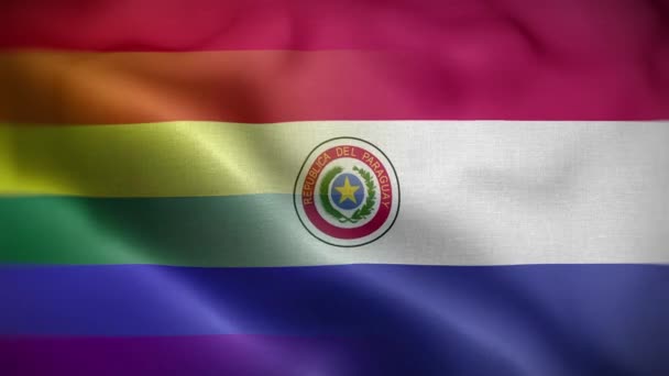 Antecedentes Del Lazo Bandera Lgbt Paraguay — Vídeos de Stock