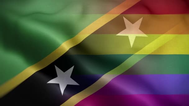 Lgbt Saint Kitts Nevis Fond Boucle Drapeau — Video