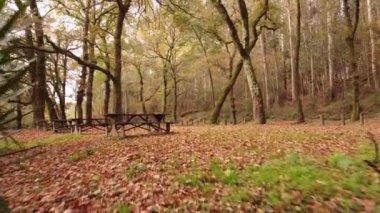 Park 4K 01 'de Yürüyüş