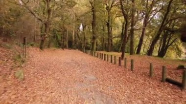 Park 4K 06 'da Yürüyüş