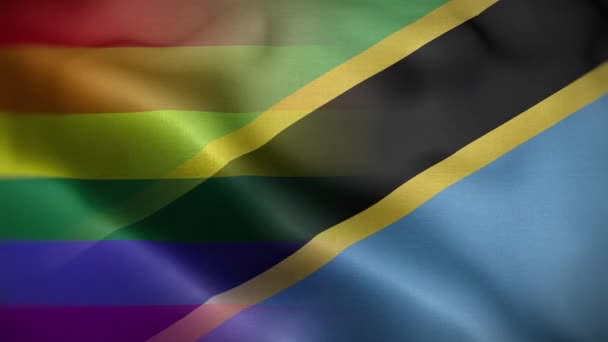 Lgbt Tansania Flaggenschleife Hintergrund — Stockvideo