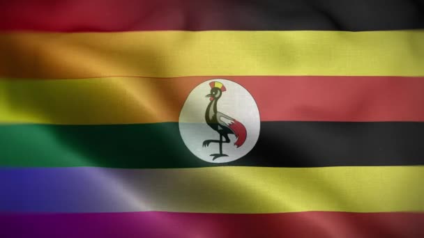 Fondo Del Lazo Bandera Lgbt Uganda — Vídeos de Stock