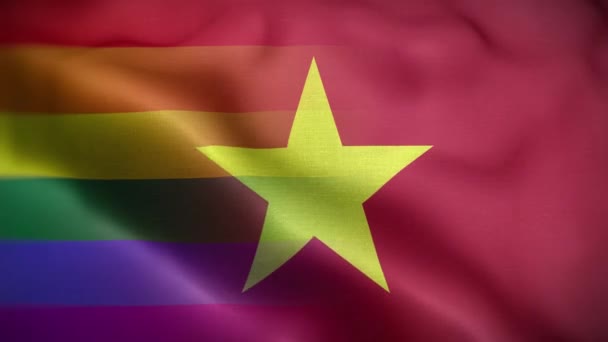 Lgbt Vietnam Vlag Lus Achtergrond — Stockvideo