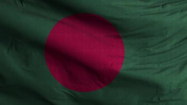 Bangladeş Bayrak Döngüsü Arkaplan 4K