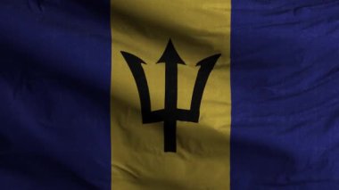 Barbados Bayrak Döngüsü Arkaplan 4K