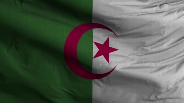 Algeriet Flagga Loop Bakgrund — Stockvideo