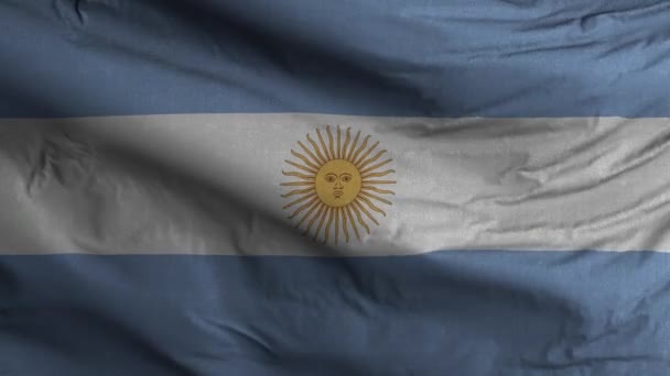 Argentijnse Vlag Lus Achtergrond — Stockvideo