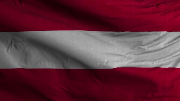 Österreich Flagge Schleife Hintergrund — Stockvideo