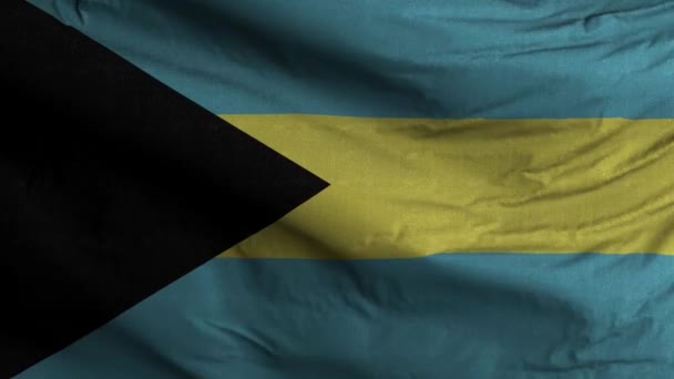 Bahamas Bandiera Loop Sfondo — Video Stock