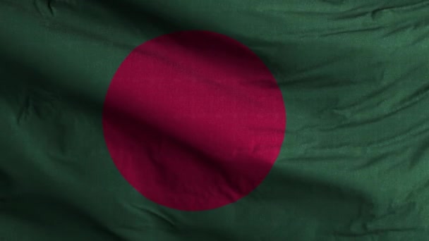 Bangladesch Flagge Schleife Hintergrund — Stockvideo