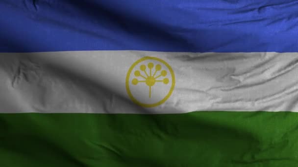 Bashkortostan Flagge Schleife Hintergrund — Stockvideo