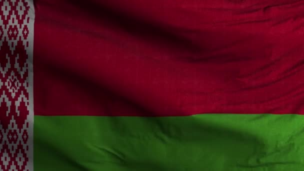 Bielorrusia Bandera Loop Fondo — Vídeo de stock