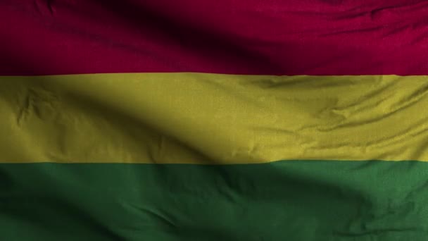 Bolivia Vlag Lus Achtergrond — Stockvideo