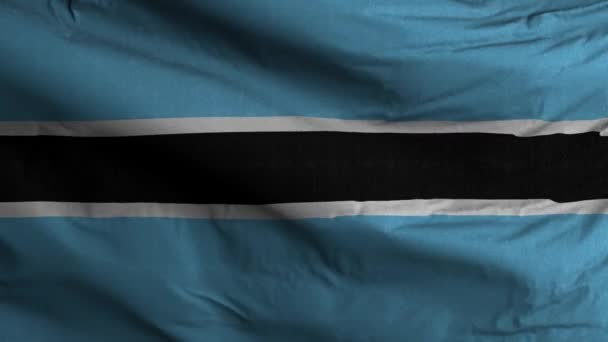 Botswana Vlajka Smyčka Pozadí — Stock video