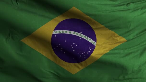 Brazil Flag Loop Background — Stock Video