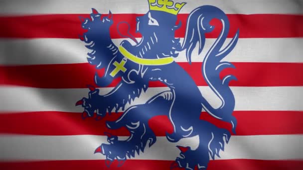 Bruges Belgium Flag Loop Background — Stock Video