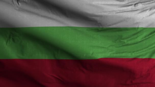 Φόντο Βρόχου Σημαίας Βουλγαρίας — Αρχείο Βίντεο